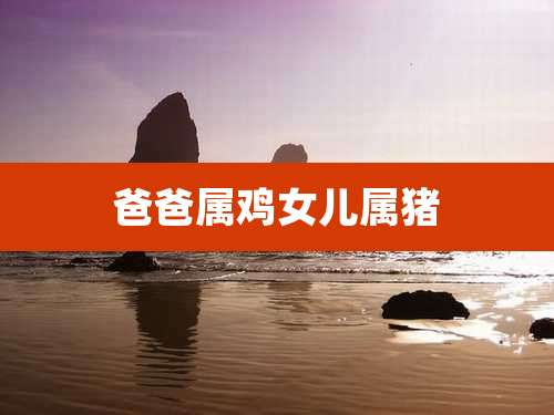 爸爸属鸡女儿属猪