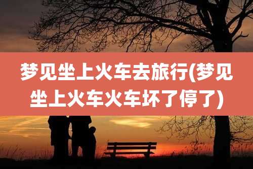 梦见坐上火车去旅行(梦见坐上火车火车坏了停了)