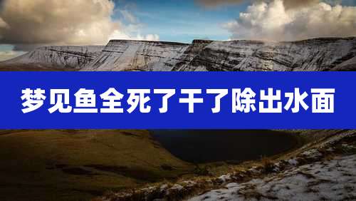 梦见鱼全死了干了除出水面