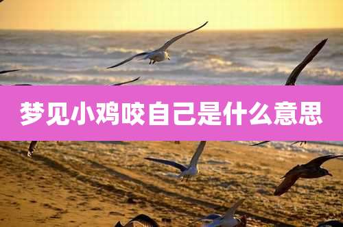 梦见小鸡咬自己是什么意思