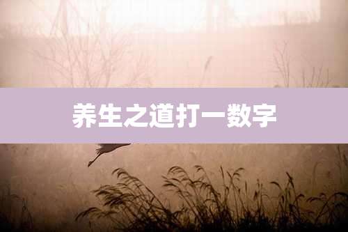 养生之道打一数字