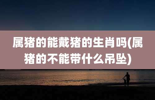 属猪的能戴猪的生肖吗(属猪的不能带什么吊坠)