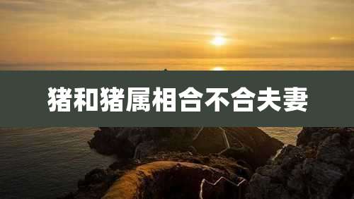 猪和猪属相合不合夫妻