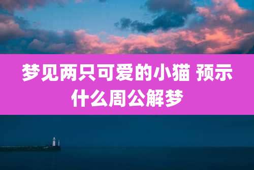 梦见两只可爱的小猫 预示什么周公解梦