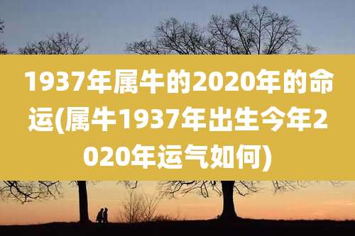 1937年属牛的2020年的命运(属牛1937年出生今年2020年运气如何)