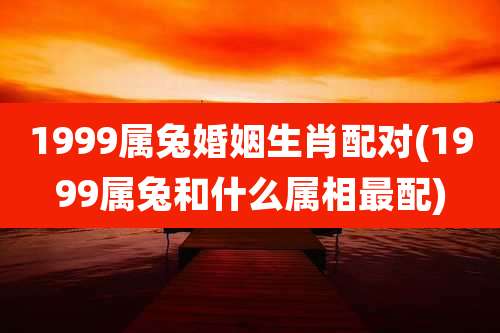 1999属兔婚姻生肖配对(1999属兔和什么属相最配)