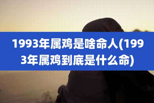 1993年属鸡是啥命人(1993年属鸡到底是什么命)