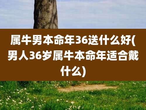 属牛男本命年36送什么好(男人36岁属牛本命年适合戴什么)