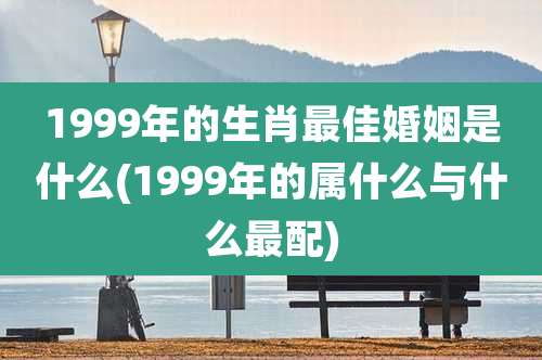 1999年的生肖最佳婚姻是什么(1999年的属什么与什么最配)