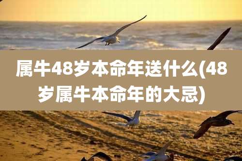 属牛48岁本命年送什么(48岁属牛本命年的大忌)