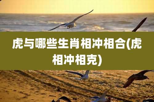 虎与哪些生肖相冲相合(虎相冲相克)
