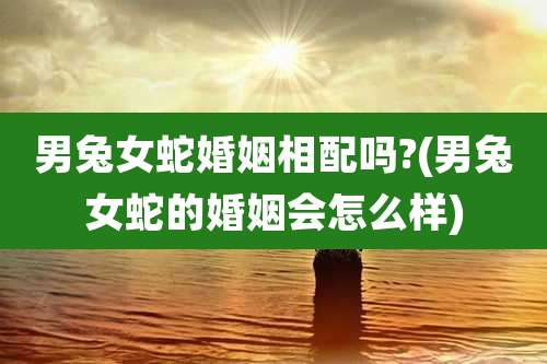 男兔女蛇婚姻相配吗?(男兔女蛇的婚姻会怎么样)