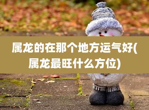 属龙的在那个地方运气好(属龙最旺什么方位)