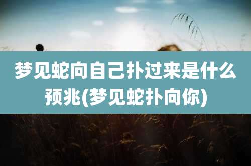 梦见蛇向自己扑过来是什么预兆(梦见蛇扑向你)