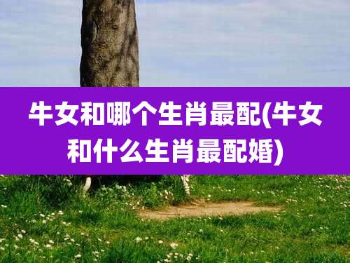牛女和哪个生肖最配(牛女和什么生肖最配婚)