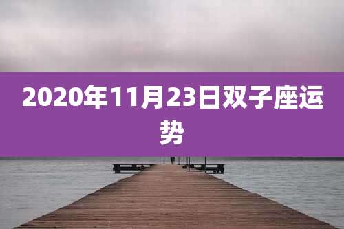 2020年11月23日双子座运势