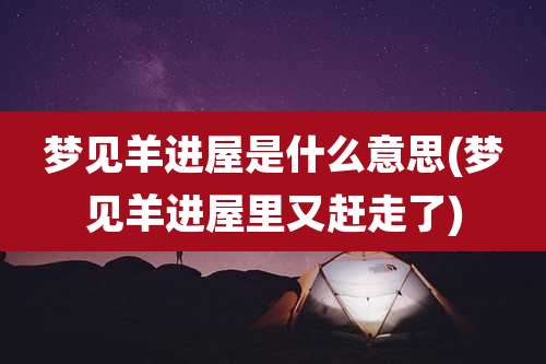 梦见羊进屋是什么意思(梦见羊进屋里又赶走了)