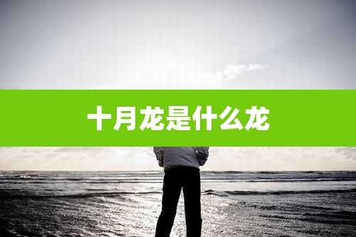 十月龙是什么龙