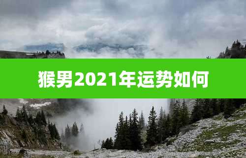 猴男2021年运势如何