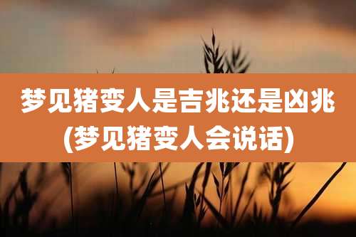 梦见猪变人是吉兆还是凶兆(梦见猪变人会说话)