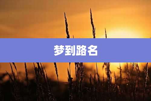梦到路名