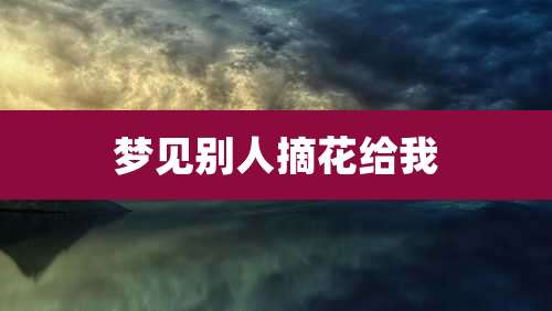 梦见别人摘花给我