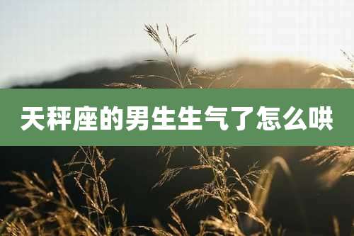 天秤座的男生生气了怎么哄