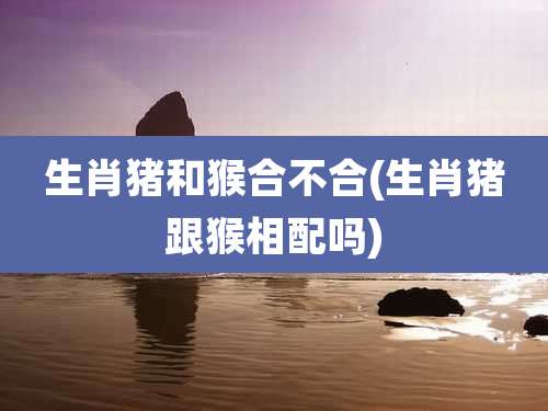 生肖猪和猴合不合(生肖猪跟猴相配吗)