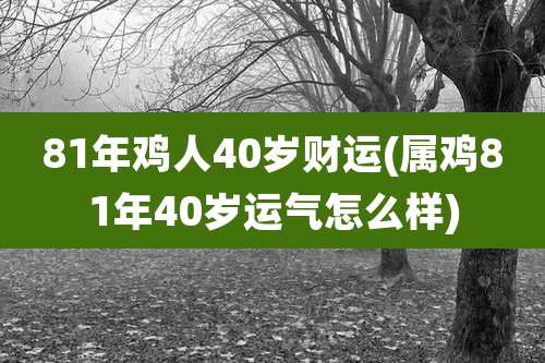81年鸡人40岁财运(属鸡81年40岁运气怎么样)