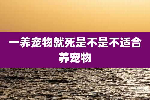 一养宠物就死是不是不适合养宠物