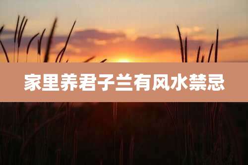 家里养君子兰有风水禁忌