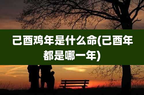 己酉鸡年是什么命(己酉年都是哪一年)