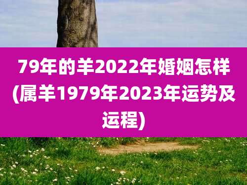 79年的羊2022年婚姻怎样(属羊1979年2023年运势及运程)