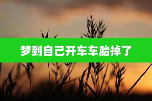 梦到自己开车车胎掉了