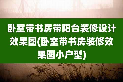 卧室带书房带阳台装修设计效果图(卧室带书房装修效果图小户型)