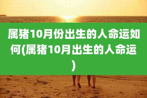 属猪10月份出生的人命运如何(属猪10月出生的人命运)