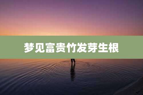 梦见富贵竹发芽生根