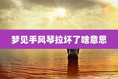 梦见手风琴拉坏了啥意思