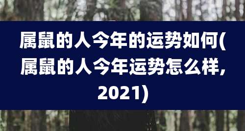 属鼠的人今年的运势如何(属鼠的人今年运势怎么样,2021)