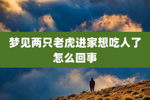 梦见两只老虎进家想吃人了怎么回事