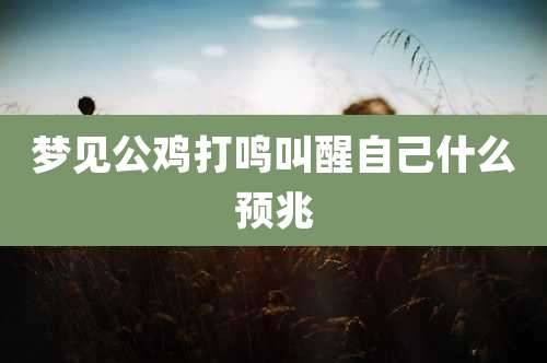梦见公鸡打鸣叫醒自己什么预兆
