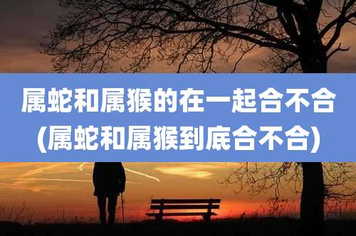 属蛇和属猴的在一起合不合(属蛇和属猴到底合不合)