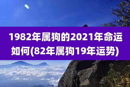 1982年属狗的2021年命运如何(82年属狗19年运势)
