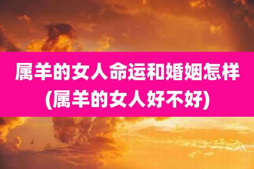 属羊的女人命运和婚姻怎样(属羊的女人好不好)