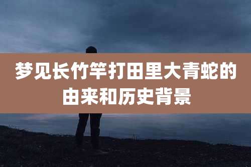 梦见长竹竿打田里大青蛇的由来和历史背景