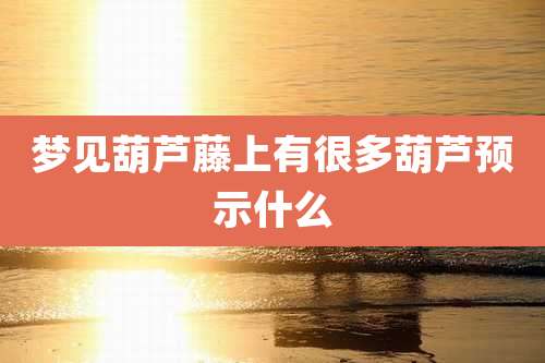 梦见葫芦藤上有很多葫芦预示什么