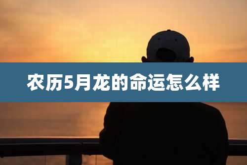 农历5月龙的命运怎么样