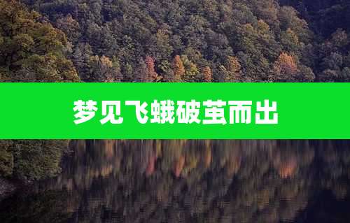 梦见飞蛾破茧而出