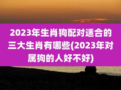 2023年生肖狗配对适合的三大生肖有哪些(2023年对属狗的人好不好)