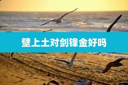 壁上土对剑锋金好吗